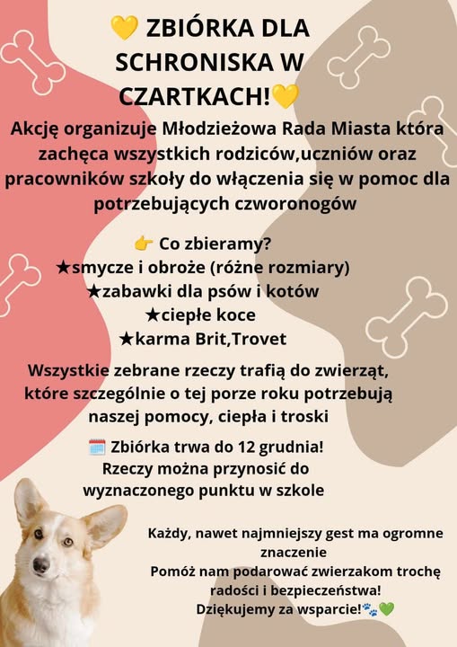 Zbiórka na schronisko